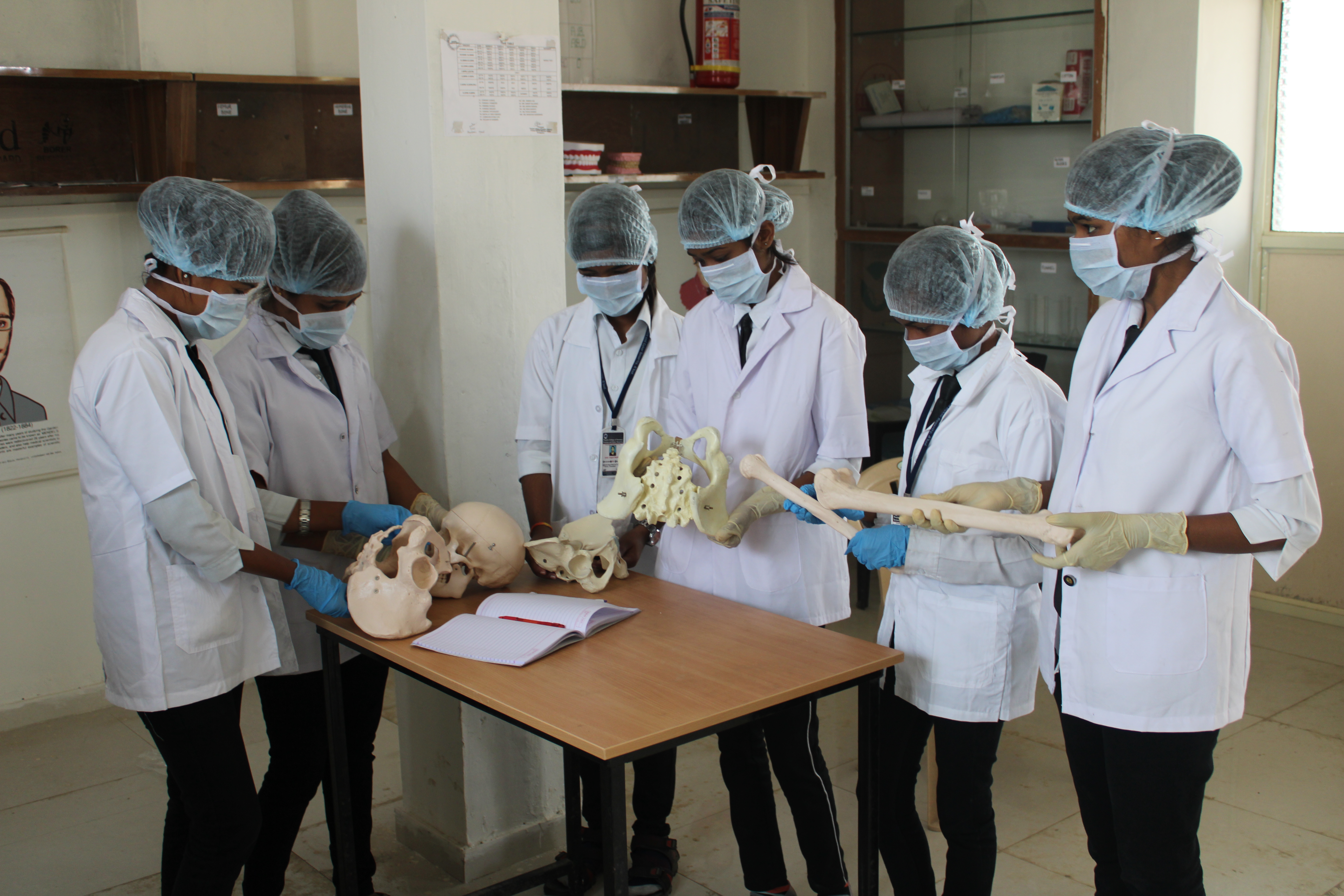 Practical laboratory 3